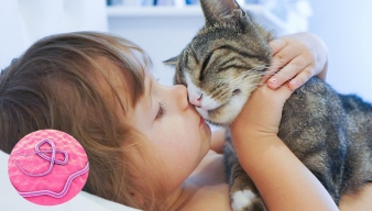 NUÔI CHÓ MÈO, CẨN THẬN NHIỄM GIUN SÁN