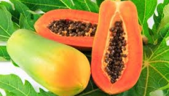 Mang thai nên ăn trái cây gì?